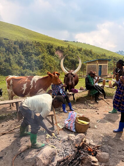 Picture 12 for Activity From Kigali: Bigogwe Cow Experience, Hiking & farm with Meal 2