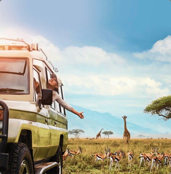 From Dar es Salaam: 2- Day Mikumi National park Safari 1