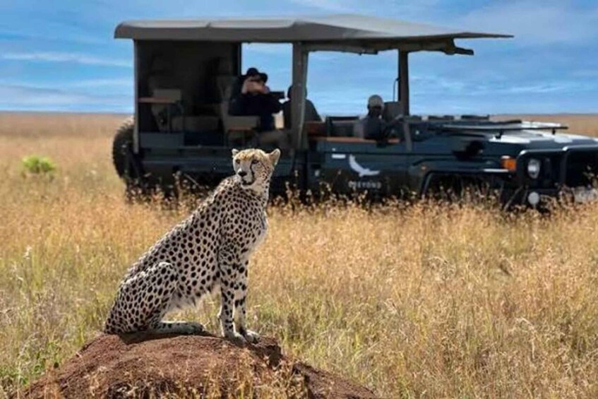 Picture 5 for Activity From Dar es Salaam: 2- Day Mikumi National park Safari 5