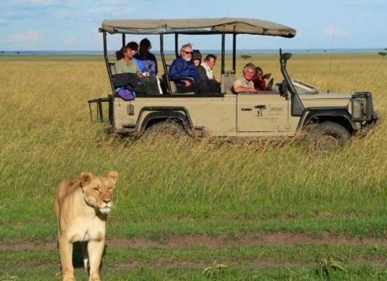 Picture 9 for Activity From Dar es Salaam: 2- Day Mikumi National park Safari 4