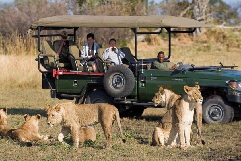 Picture 1 for Activity From Dar es Salaam: 2- Day Mikumi National park Safari 5