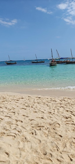 Picture 7 for Activity Zanzibar; Blue Safari Snorkeling & Blue Lagoon with BBQ 3