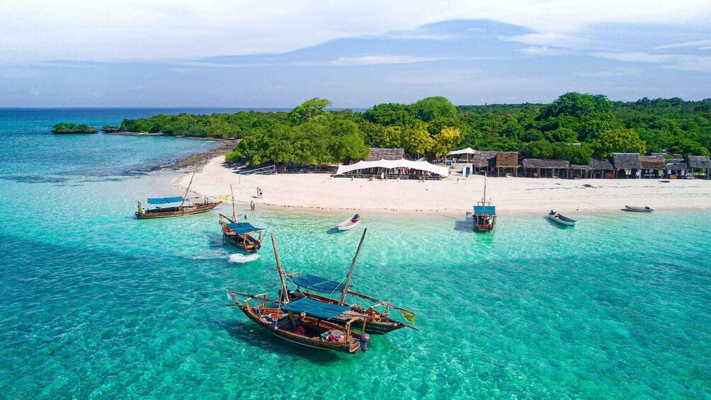 Picture 9 for Activity Zanzibar; Blue Safari Snorkeling & Blue Lagoon with BBQ 3