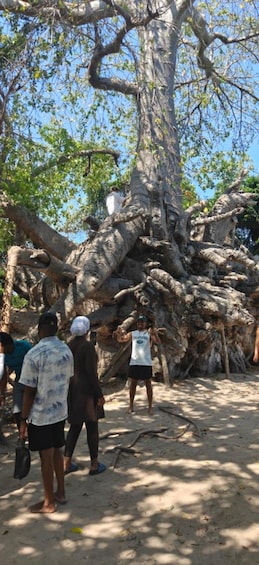 Picture 3 for Activity Zanzibar; Blue Safari Snorkeling & Blue Lagoon with BBQ 2