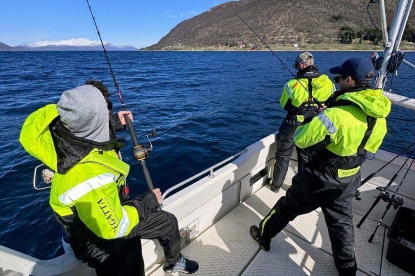 Private Fishing Tour Tromso Cabin Boat 4