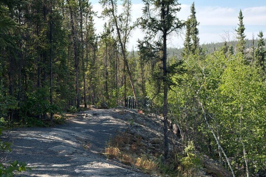 Ingraham Trail Escape Women Only Nature and Waterfalls Tour 3