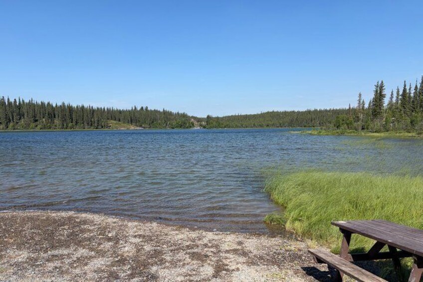 Ingraham Trail Escape Women Only Nature and Waterfalls Tour 4