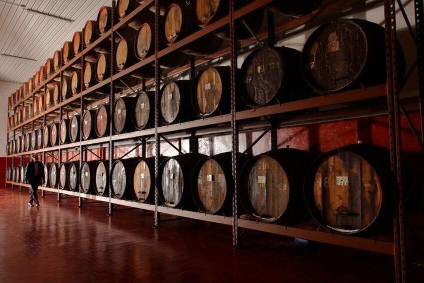 Historic Winery Tour with 1968 Vernaccia Tasting 2
