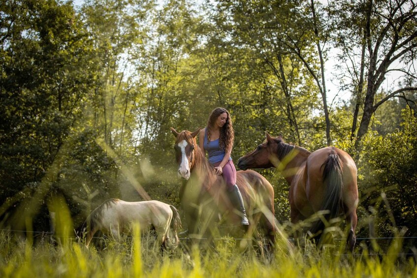 Borgomanero: Guided Horseback Ride through Vineyards and Woods 1