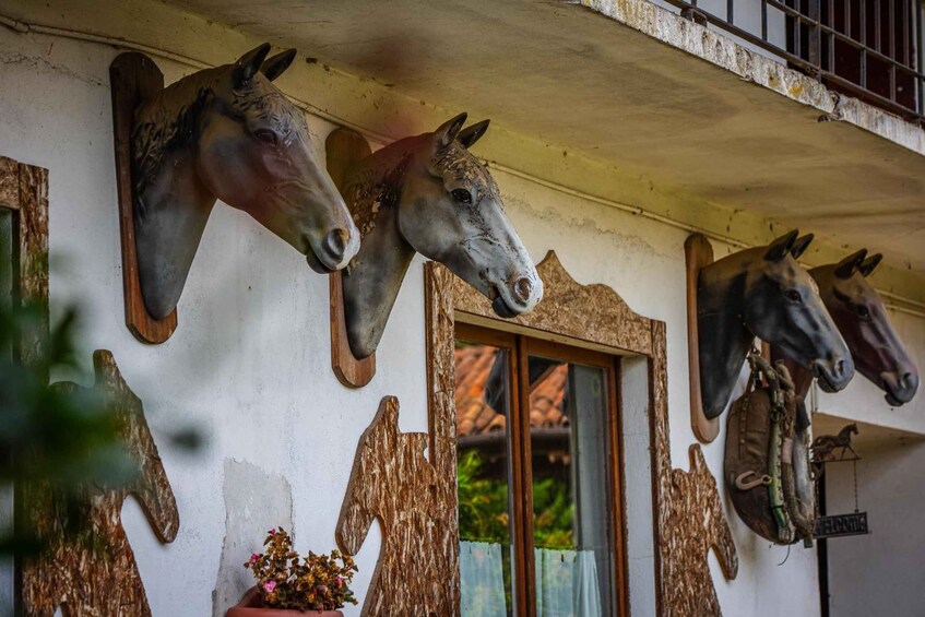 Picture 1 for Activity Borgomanero: Guided Horseback Ride through Vineyards and Woods 2