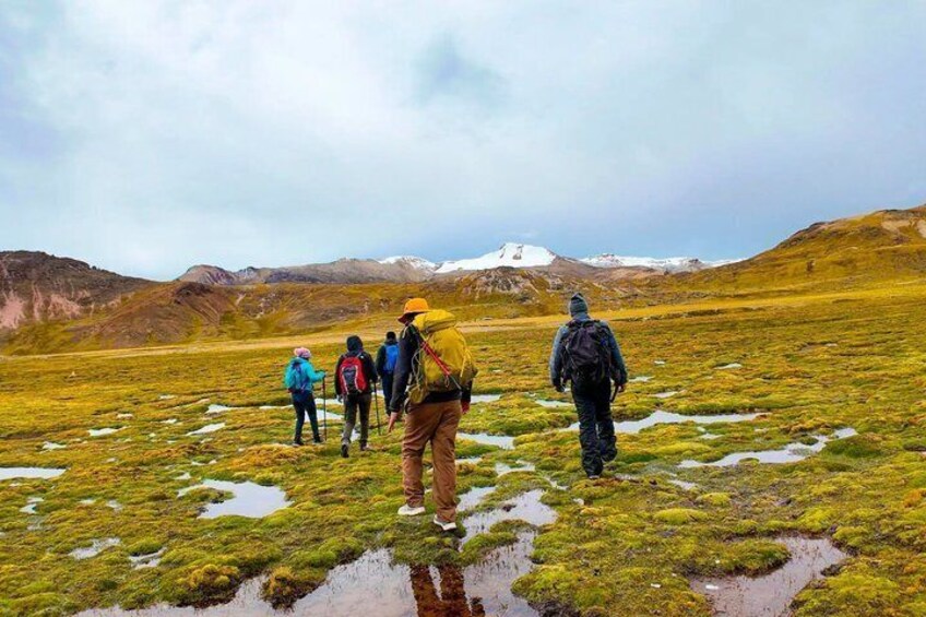 A group of hikers walking on a grassy field with snow patches and a mountain in the background. 3