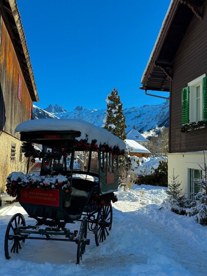 Picture 10 for Activity Private Mount Titlis & Lucerne Day Tour from Zurich 2