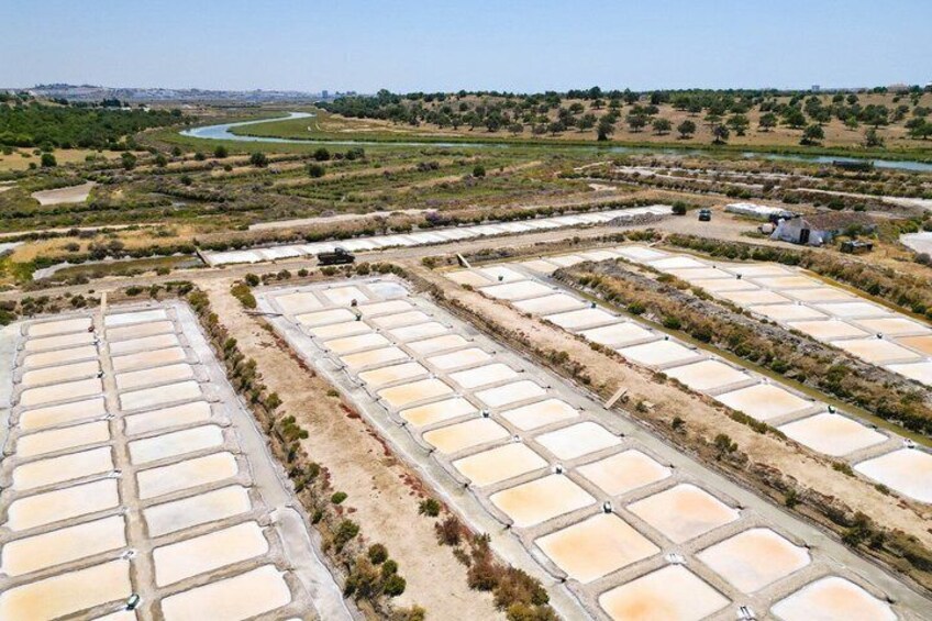 Algarve: 4x4 Adventure, Flamingos, Salt Pans & Local Tasting 3