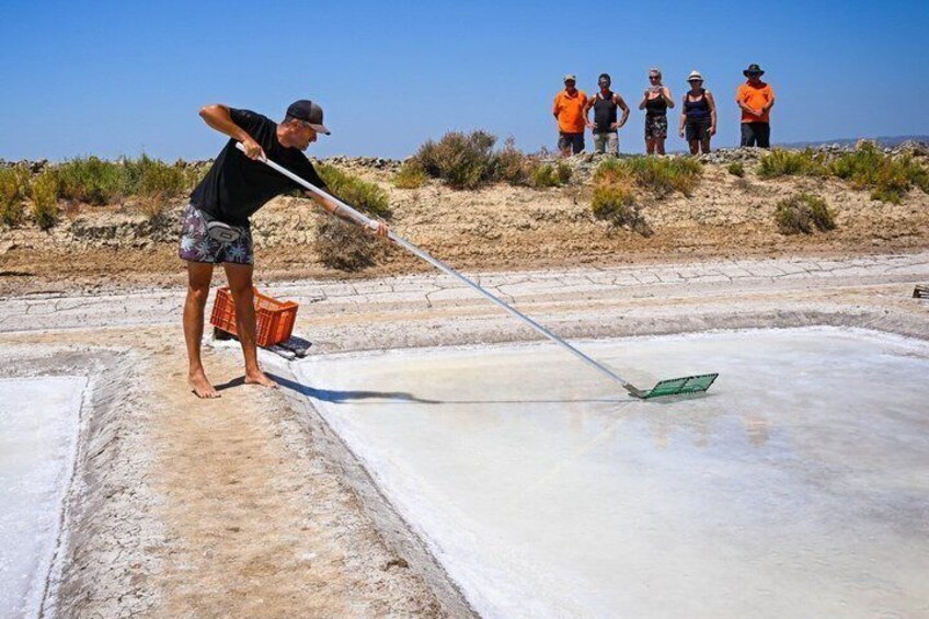 Algarve: 4x4 Adventure, Flamingos, Salt Pans & Local Tasting 4