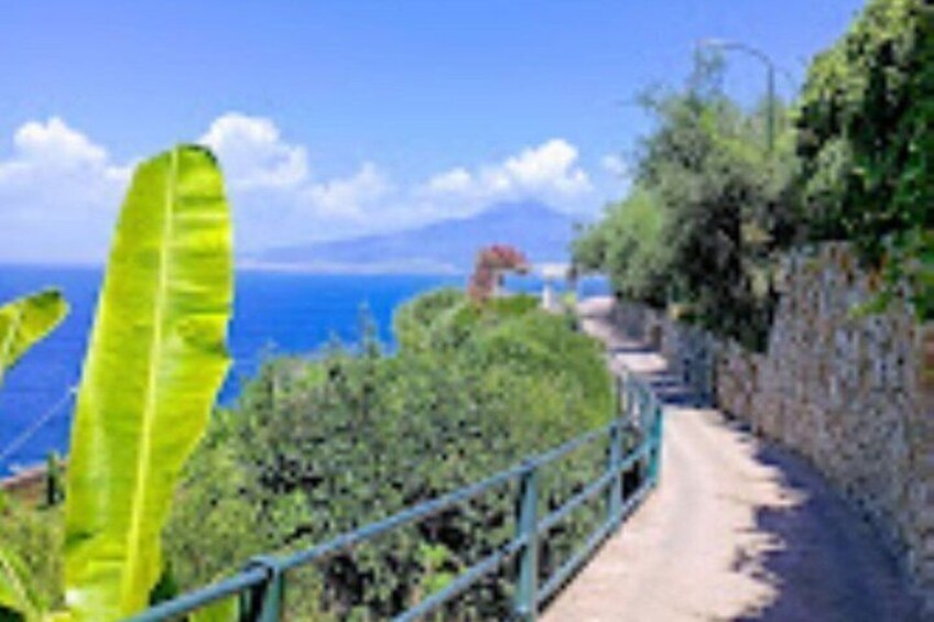 Guided Walking Tour of Vico Equense with Delizia al Limone 5