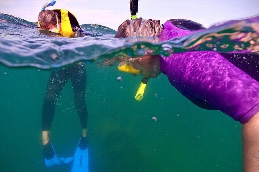 Two people snorkeling underwater, one wearing a yellow top and the other in purple. 2