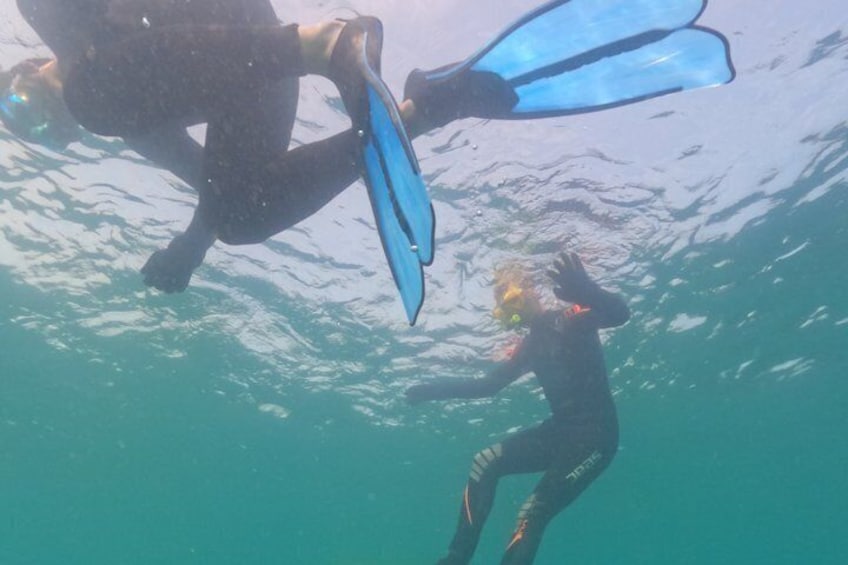 Guided Snorkeling Tour of Novadoc Shipwreck on Lake Michigan 4