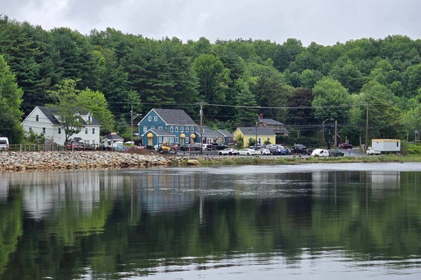A lakeside town with houses, a dock, and a forested hill. 2