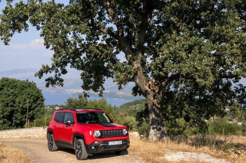 A red SUV parked under a large tree on a dirt road with a scenic view of hills and a body of water in the background. 1