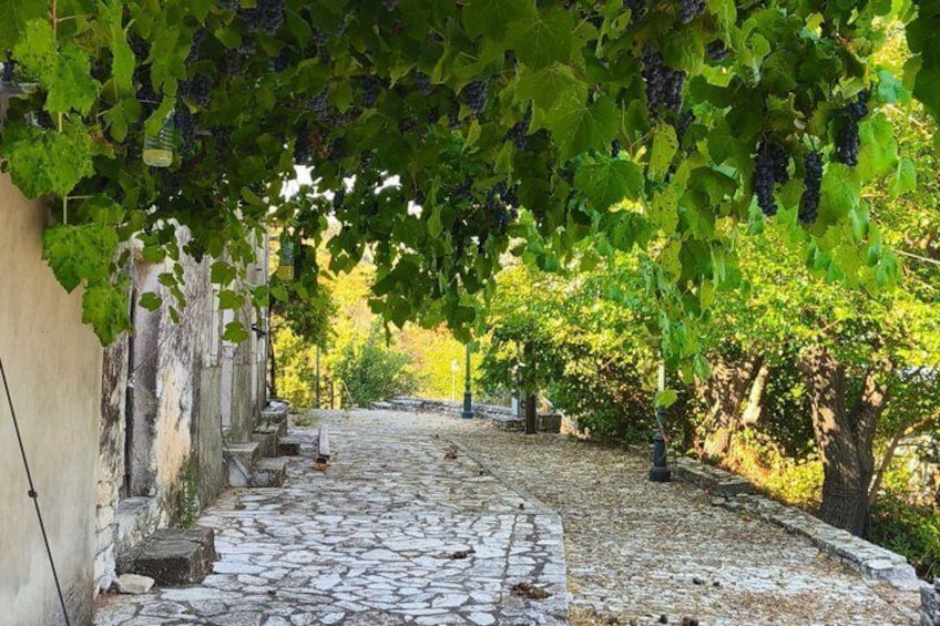 Corfu: Private Jeep Safari in the North with Off-Road & Swimming 5