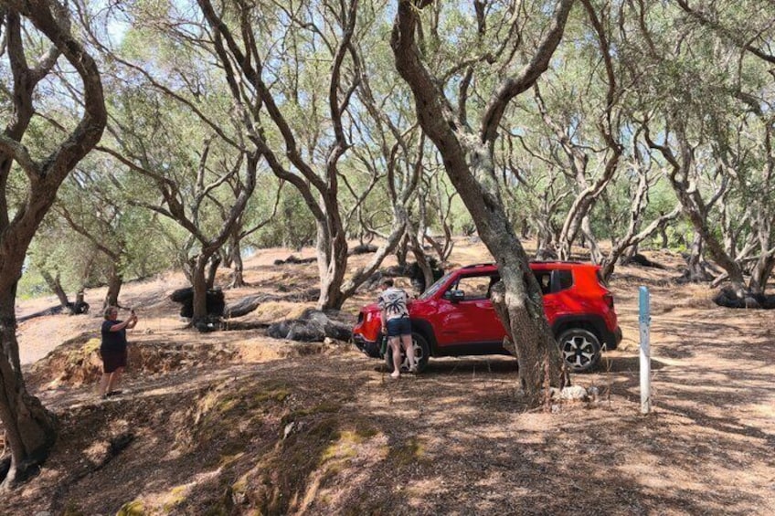 Corfu: Private Jeep Safari in the North with Off-Road & Swimming 3