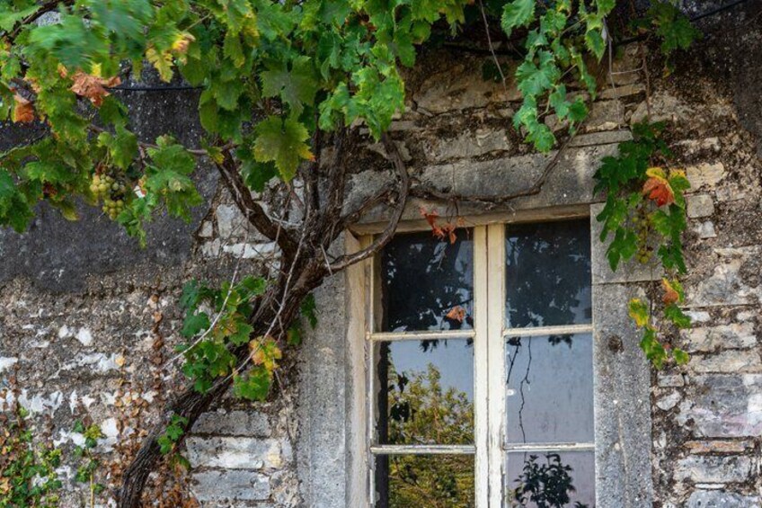 Corfu: Private Jeep Safari in the North with Off-Road & Swimming 2