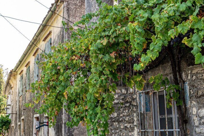 Corfu: Private Jeep Safari in the North with Off-Road & Swimming 5