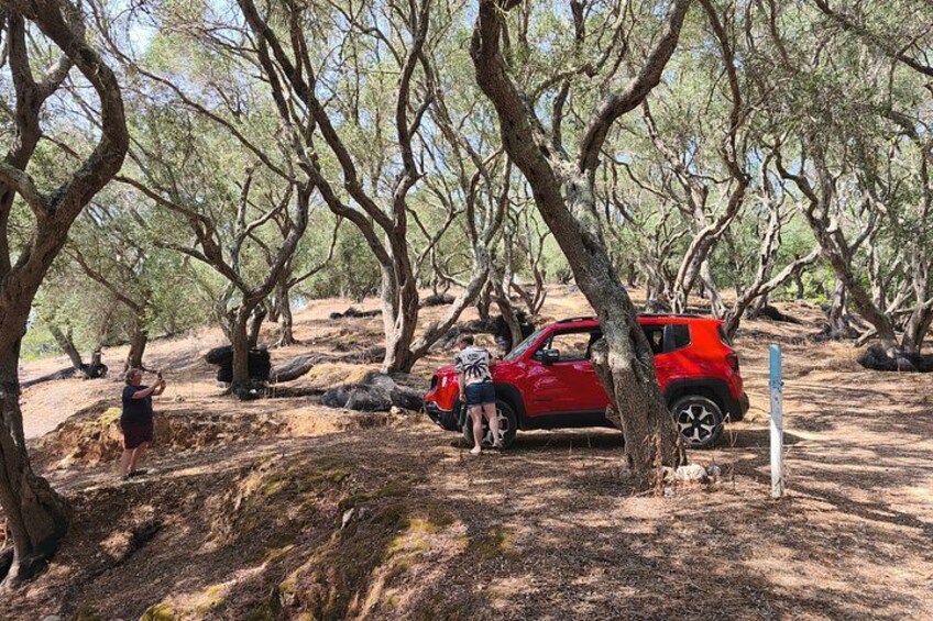 A red SUV parked in a wooded area with a person standing nearby. 5