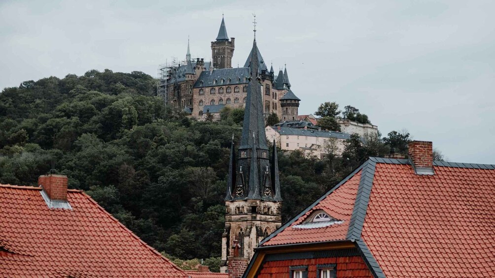 Picture 8 for Activity Wernigerode: Daily city tour "1000 Steps around the Town Hall" 5