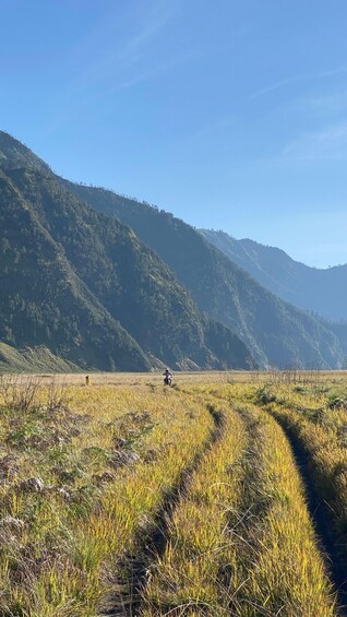 Picture 20 for Activity Bromo Sunrise Experience for Solo Travelers from Malang 3