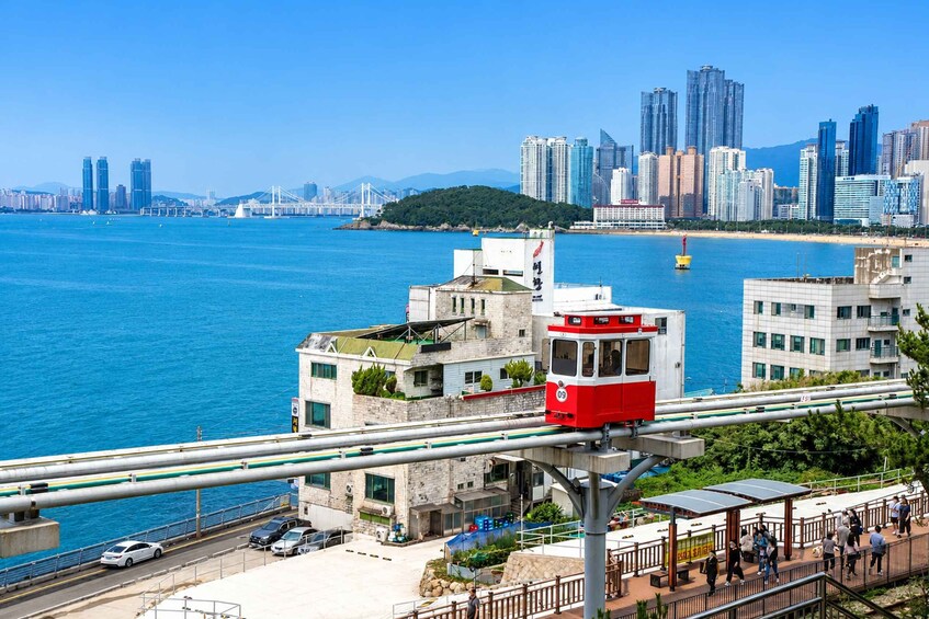 A cable car system over a body of water with a city skyline in the background. 5