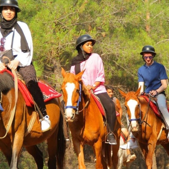 Picture 9 for Activity Fethiye: Horseback Safari Tour with Forest and Hisarönü Views 4