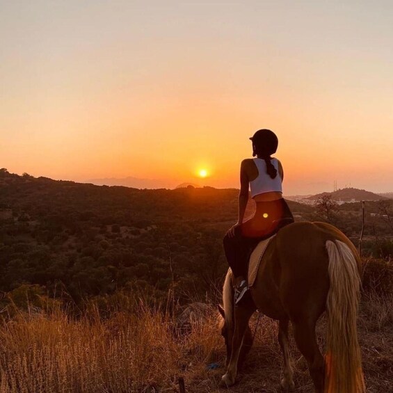 Picture 2 for Activity Fethiye: Horseback Safari Tour with Forest and Hisarönü Views 3