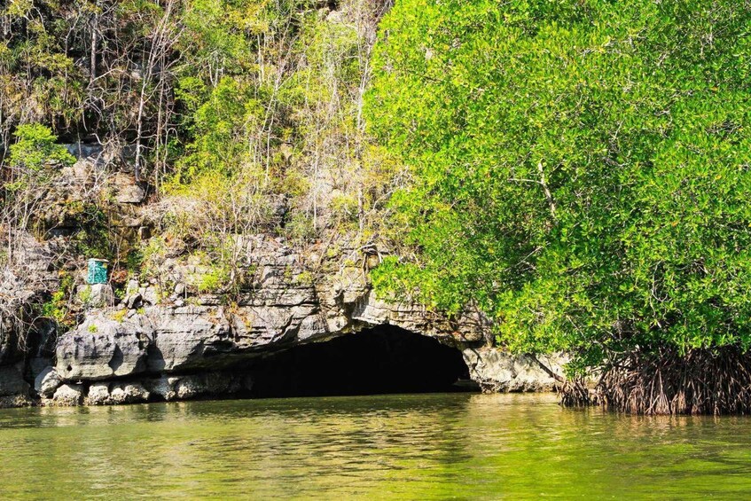 Picture 2 for Activity Langkawi: 3 Hours Private Mangrove Kilim Geoforest Boat Tour 3