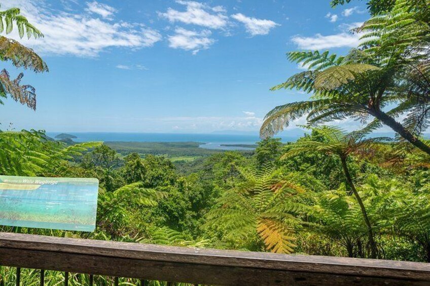 Jalun and Bubu Dreaming Saltwater to Rainforest Cultural Journey 3