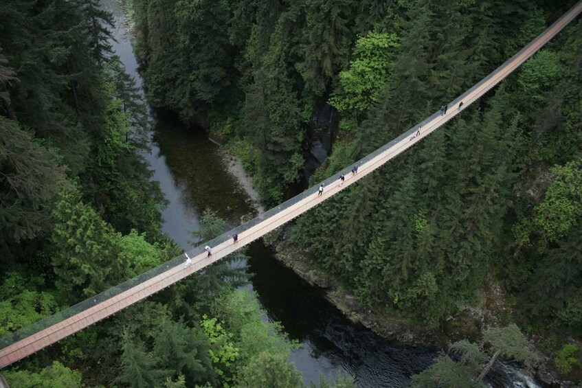 A suspension bridge over a river in a forested area. 4