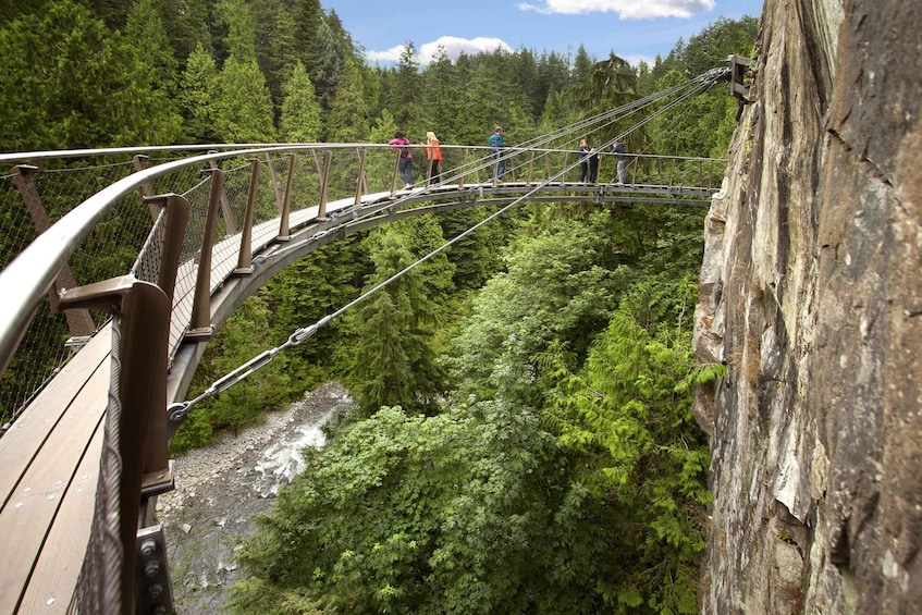 A suspension bridge over a river with people walking on it, surrounded by dense forest. 3