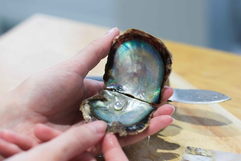 Picture 2 for Activity Tenerife: Pick a Pearl Experience 5