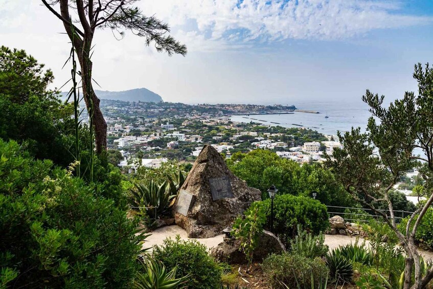 Picture 2 for Activity La Mortella Gardens Excursion from Ischia 2