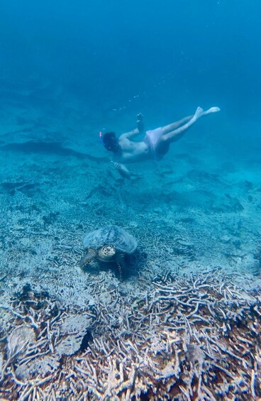 Picture 4 for Activity Blue Bay Marine Park: Guided Snorkeling with Video Souvenirs and Snack 4