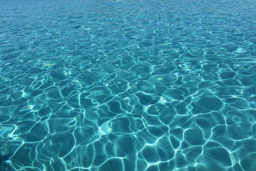 Picture 27 for Activity Speedboat tour between Cala Zafferano and Tuerredda with Aperitif and Snorkeling 5