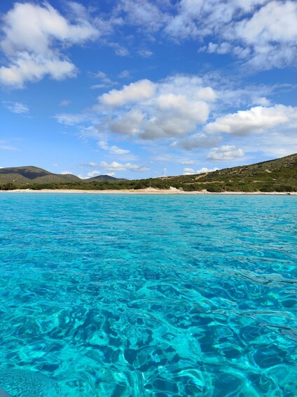 Picture 13 for Activity Speedboat tour between Cala Zafferano and Tuerredda with Aperitif and Snorkeling 2