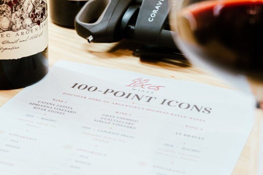 Argentinas Most Celebrated Wines 100 Point Wine Tasting 2