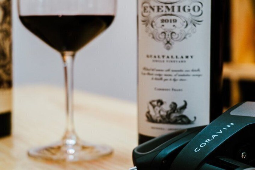 Argentinas Most Celebrated Wines 100 Point Wine Tasting 3