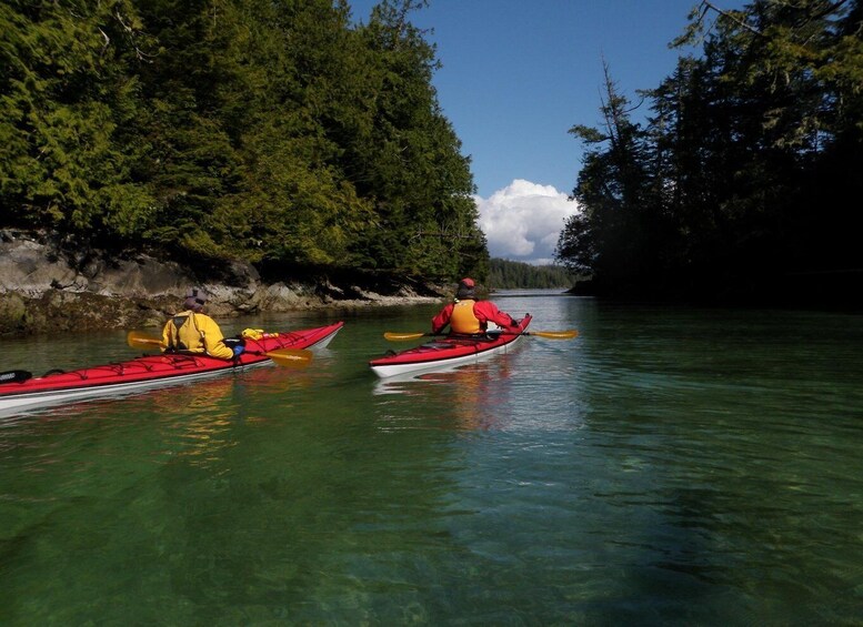 Cowichan Bay: 2-Hour Guided Estuary Kayak Tour 1