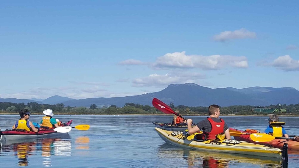 Picture 3 for Activity Cowichan Bay: 2-Hour Guided Estuary Kayak Tour 3