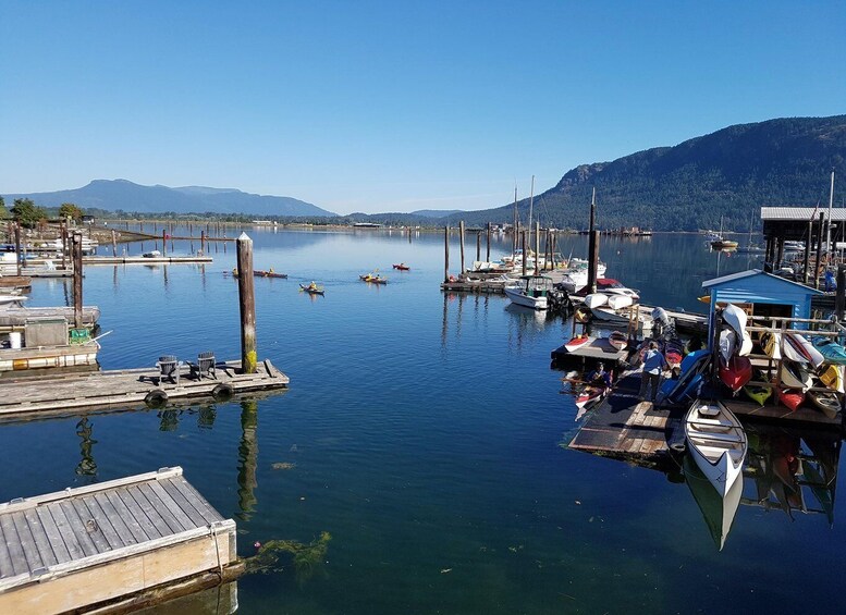 Picture 2 for Activity Cowichan Bay: 2-Hour Guided Estuary Kayak Tour 2
