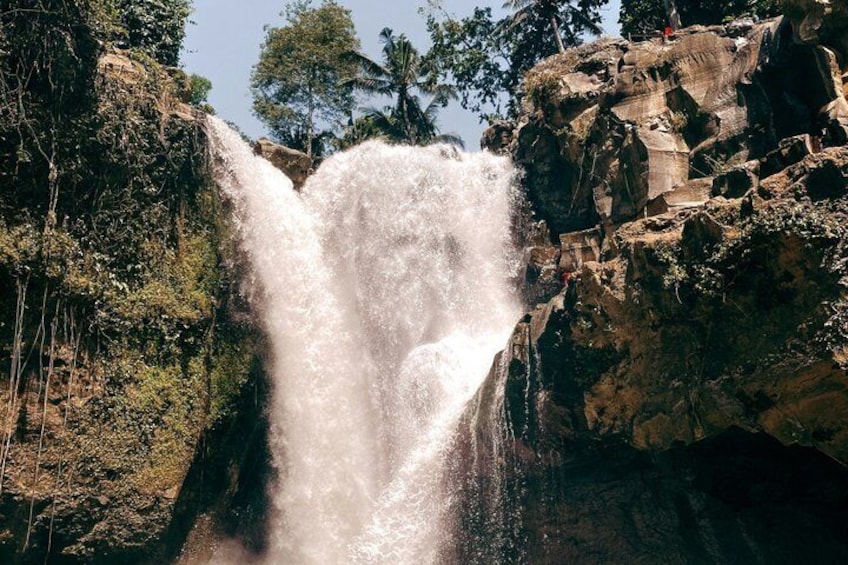 A waterfall cascading down a rocky cliff surrounded by greenery. 5
