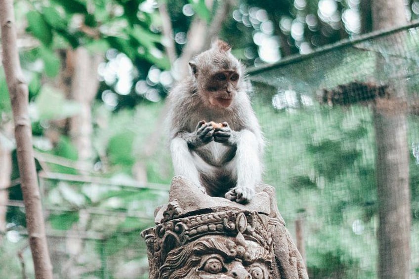 A monkey sitting on a decorative stone structure in a forested area. 2