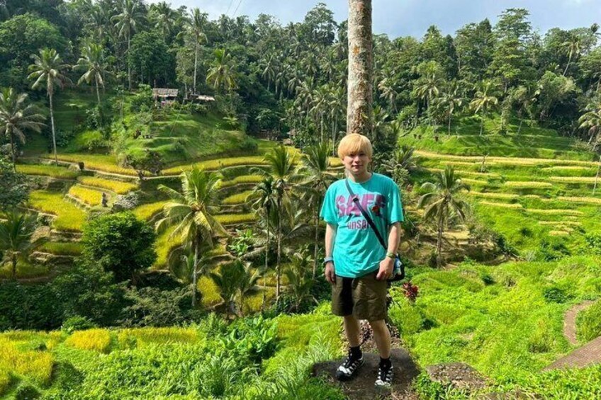 A person standing in a terraced rice field with palm trees and a hill in the background. 3
